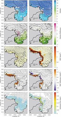 Dynamic response of water flow and sediment transport off the Yellow River mouth to tides and waves in winter